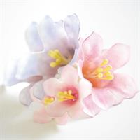 TAGLIAPASTA PETUNIA PZ.5