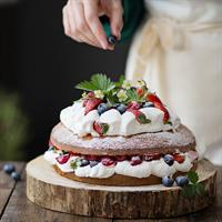 PREPARATO PER SPONGE CAKE POLVERE GR.250