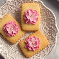 TAGLIAPASTA ROSA CANINA PZ.5