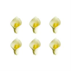 DECORI IN ZUCCHERO PZ.6 CALLE