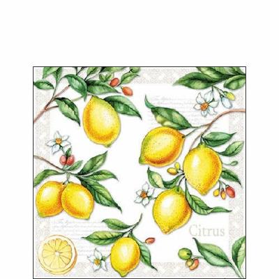 TOVAGLIOLI 25X25 3 VELI PZ.15 LIMONI