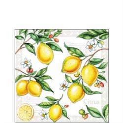 TOVAGLIOLI 25X25 3 VELI PZ.15 LIMONI