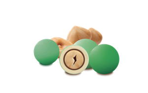 CONFETTI NOISETTES KG.1 SFUMATI VERDI