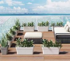 FIORIERA RETTANGOLARE CLEO CM.60 TORTORA