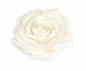 ROSA FOAM BIANCA D. 70