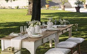 FICO D'INDIA PORCELLANA FOGLIA CM.11