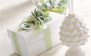 PROFUMATORE CERAM. PIGNA WHITE CON LED E SCAT.