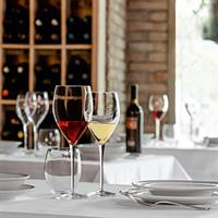 CALICE V. MAGNIFICO XL  CL.70 H.26   ***