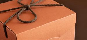 SCAT. SEGRETO C/CORDINO 28X20X35 SETA CORTEN