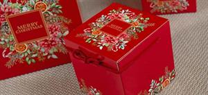 SCAT. SEGRETO C/CORDINO 24,5X24,5X18 BOTANIC CHRISTMAS