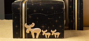 SCAT. SEGRETO C/CORDINO 24,5X24,5X18 CONSTELLATION