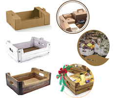 SCAT. CASSETTA EFFETTO  LEGNO TEK BIANCA 35X24X12 STESA