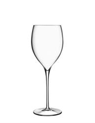 CALICE V. MAGNIFICO MED. CL.46 H.24