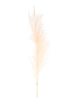 RAMO PIUME CM.122 H. BEIGE
