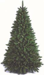 ALBERO N. NEW TIFFANY CM.180