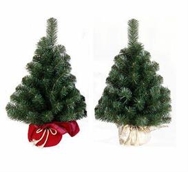 ALBERO N. NOBLE SPRUCE   CM.60 CON SACCO VELLUTO