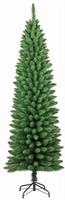 ALBERO N. SILVESTRE CM.210