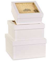 SCATOLA RETTANGOLARE MERRY CHRISTMAS CM.26X19X9,5 H. BIANCA