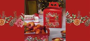 SCAT. CESTA BOTANICAL   40X30X12