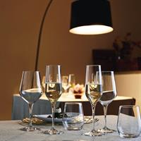 CALICE V. ELECTRA CL. 55 LARGE XLT