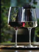 CALICE V. PLANEO CL.38  VINO BIANCO                         NEXO