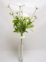 RAMO MARGHERITA CREMA   X4 CM. 65