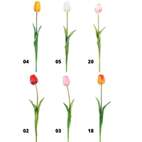 TULIPANO LATTICE C/FOGLIA CM.50 ROSSO