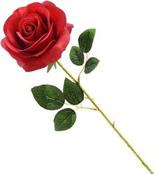 ROSA VELVET CM.42 RED