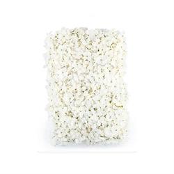 PANNELLO DI ORTENSIE    AVORIO 65X45