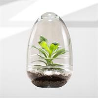 OVETTO VETRO APRIBILE D.13 H. 20