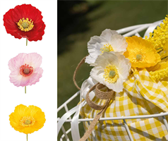 PICK PAPAVERO ROSSO PZ. 12