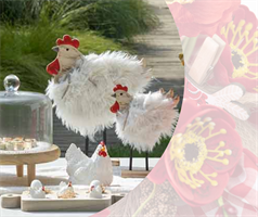 CANDELA GALLINA BIANCA H.9