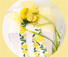 NASTRO TESSUTO LEMON MM.15 MT.20 NATURAL