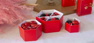 SCAT. ESAGONO FONDO+COP. 80X55 DIVIS. LINO ROSSO