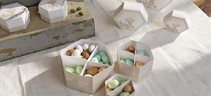 SCAT. ESAGONO FONDO+COP. 80X55 DIVIS. PRIMA COM.