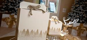 SCAT. SEGRETO C/CORDIN0 21X21X21 WHITE FOREST