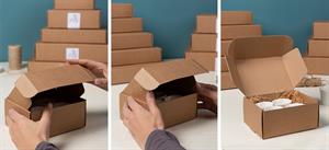 SCAT. FAST 35,5X28X8    AVANA