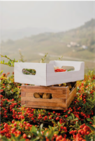 SCAT. CASSETTA EFFETTO  LEGNO TEK 30X20X9 STESA