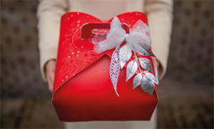 SCAT. PORTAPANETTONE CM.25X25X20H BASSO RED VISCHIO