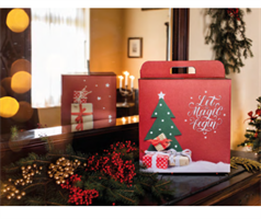 SCAT. PANETTONE LINEA   100 CM.31X23X35 MAGIC CHRISTMAS