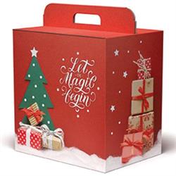 SCAT. PANETTONE LINEA   200 CM.33X24X35 MAGIC CHRISTMAS